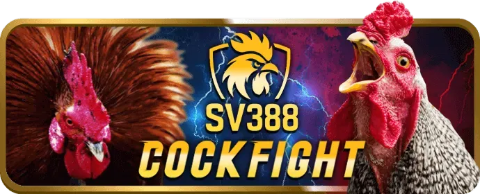 Đá gà trực tiếp tại 78win01 nhà cái